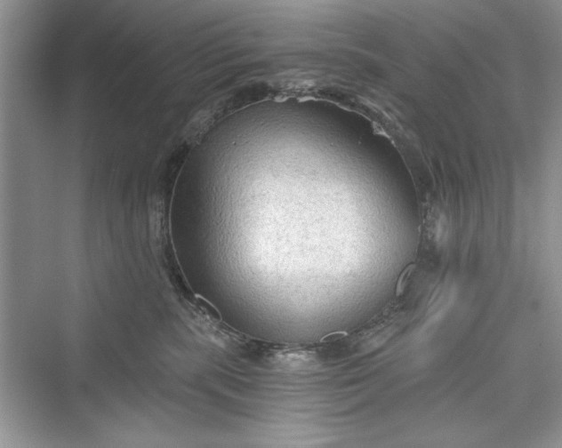 X0000073390283200608111241
