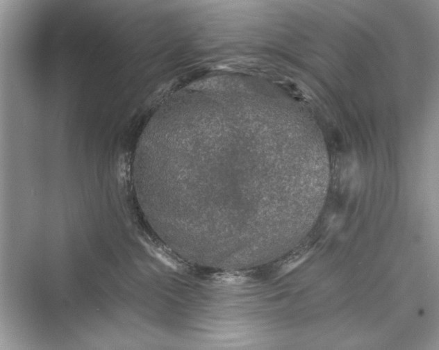 X0000073390284200608111241