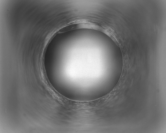 X0000073390289200608111240