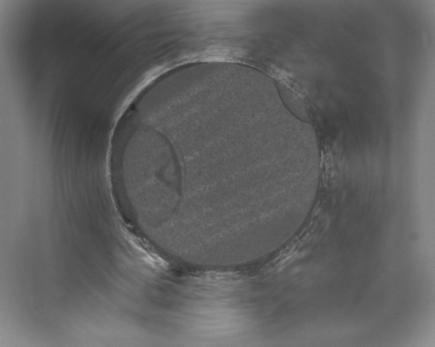 X0000073390292200608111240