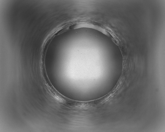 X0000073390293200608111240