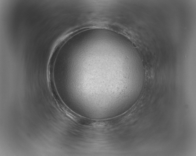 X0000073390294200608111240