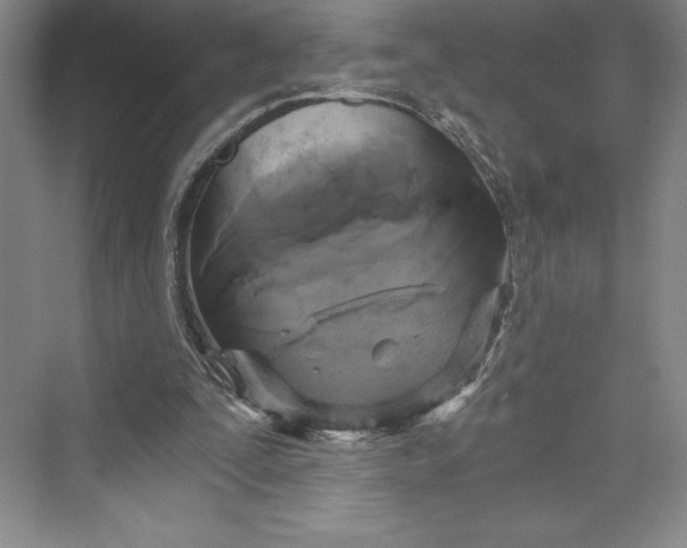 X0000073390295200608111240