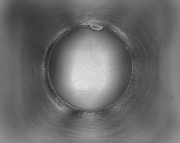 X0000073390298200608111240