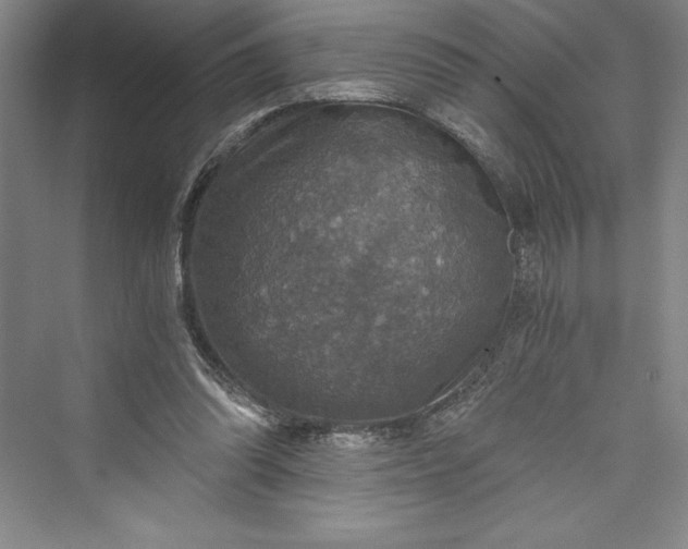 X0000073390302200608111240