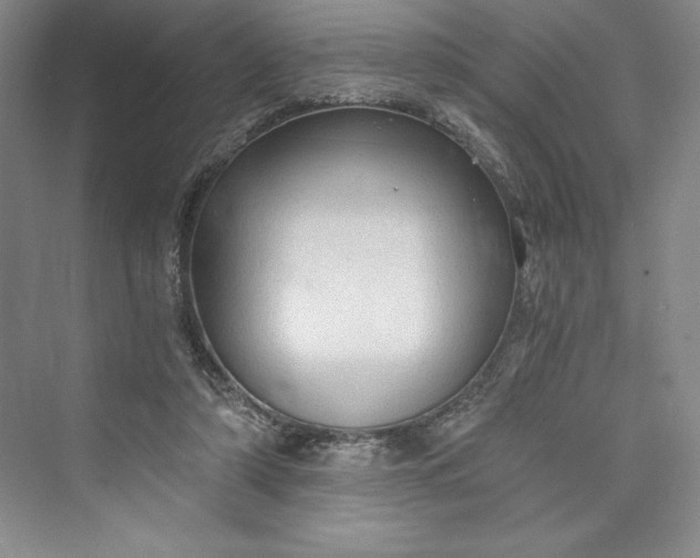 X0000073390306200608111240