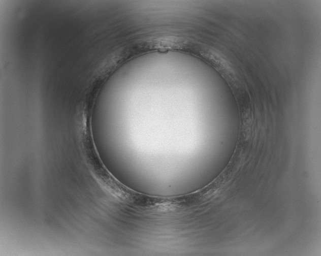 X0000073390310200608111240