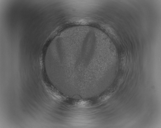 X0000073390312200608111240