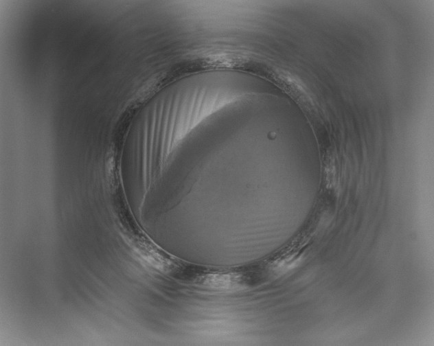 X0000073390314200608111240