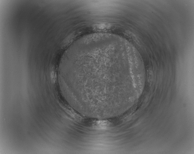 X0000073390324200608111239
