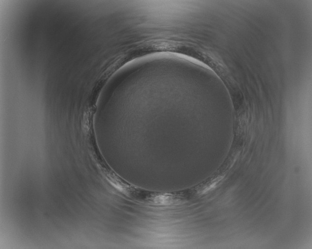 X0000073390325200608111239