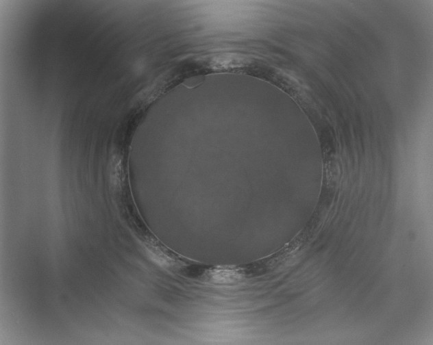X0000073390327200608111239