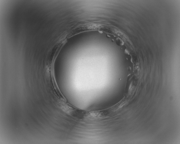 X0000073390329200608111239