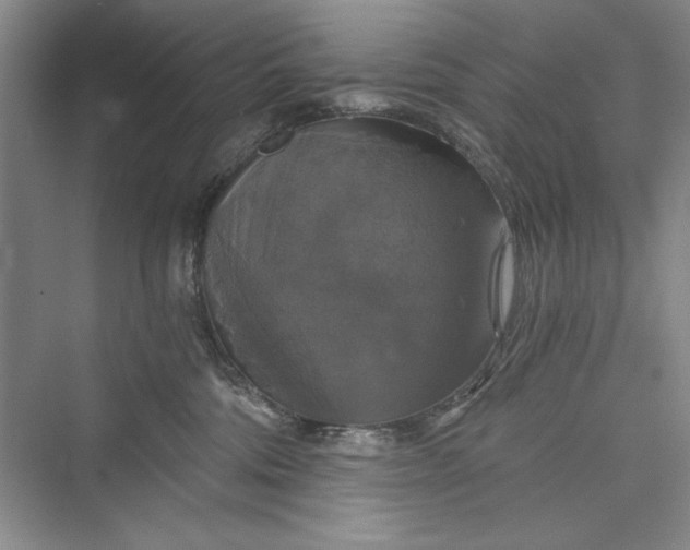 X0000073390330200608111239