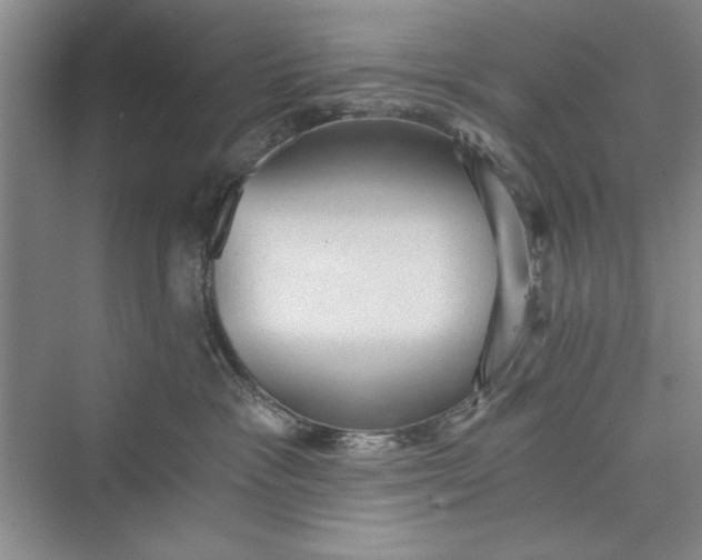 X0000073390333200608111239