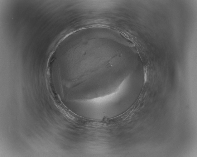 X0000073390339200608111238