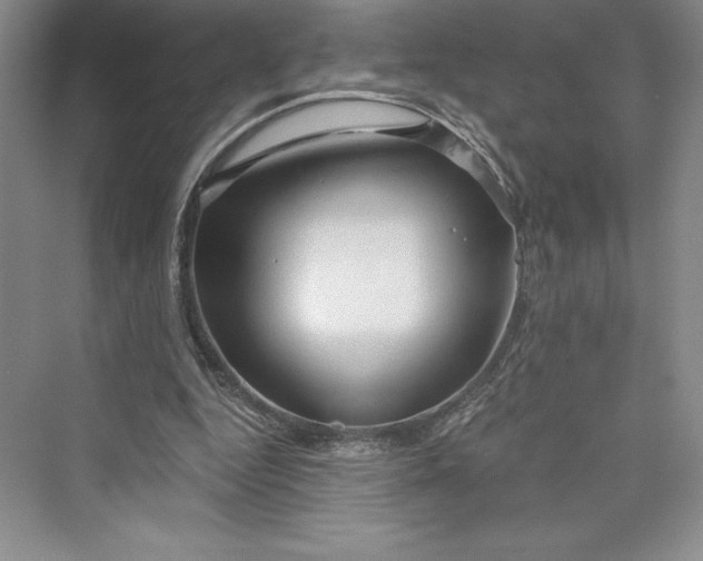 X0000073390344200608111239