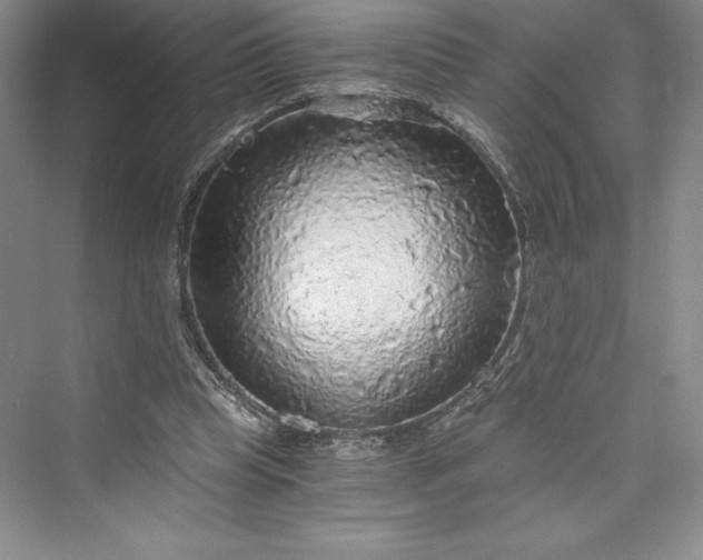 X0000073390345200608111239