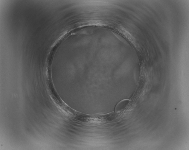 X0000073390347200608111239