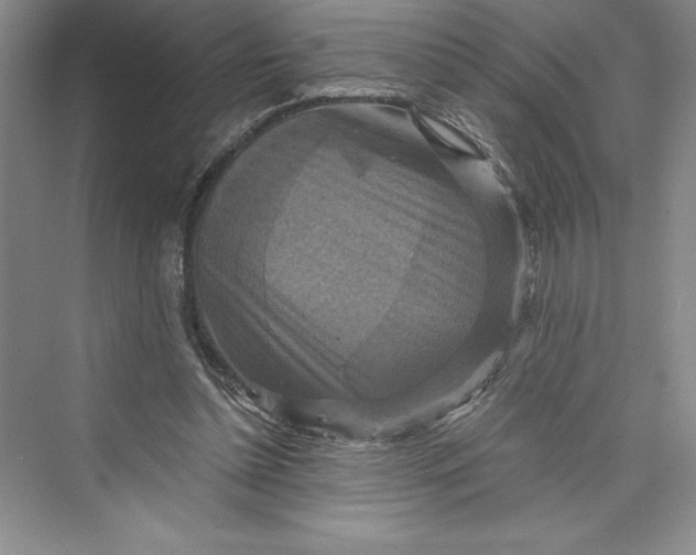 X0000073390348200608111239