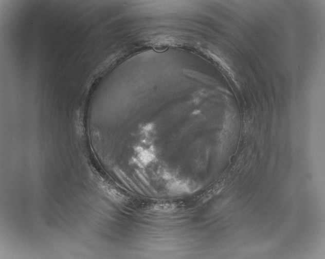 X0000073390353200608111239
