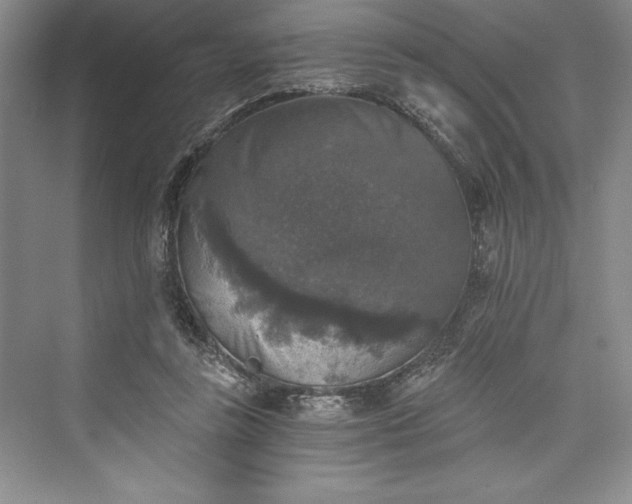 X0000073390355200608111239