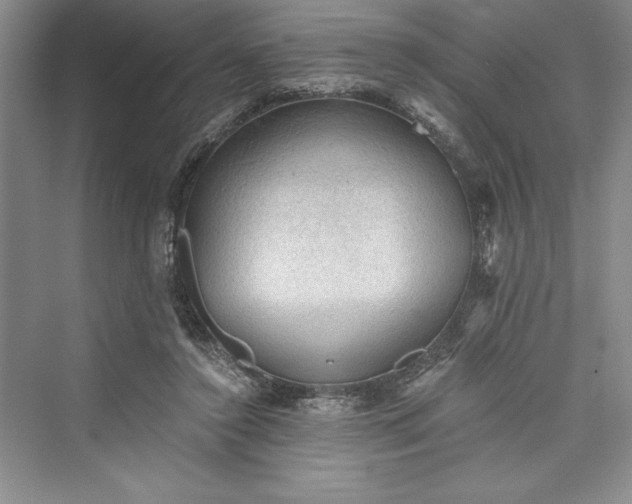 X0000073390356200608111239