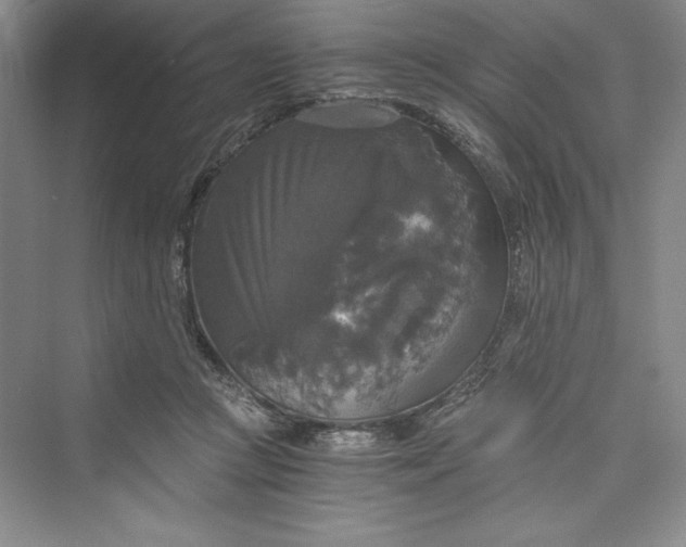 X0000073390361200608111239