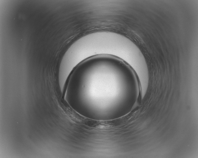 X0000073390364200608111239