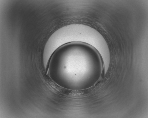 X0000073390368200608111239