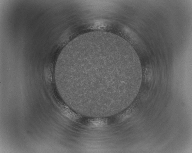 X0000073390370200608111239