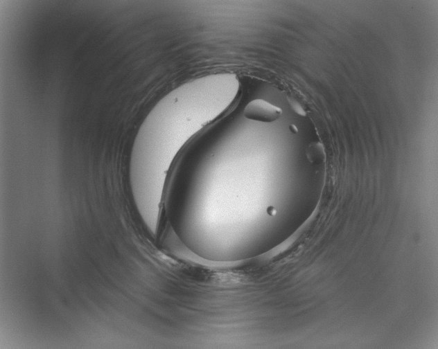X0000073390376200608111239