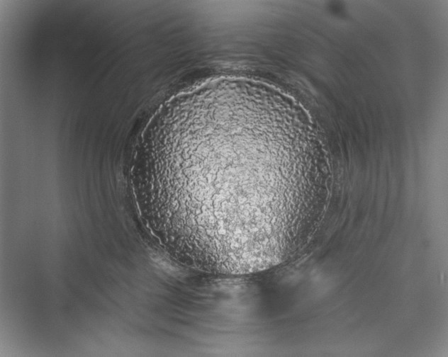 X0000073390377200608111239