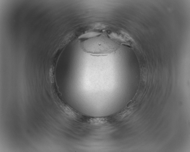 X0000073390378200608111239