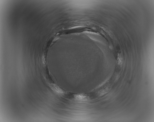 X0000073390380200608111239