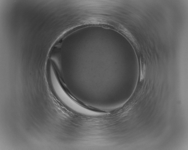 X0000073390387200608111238