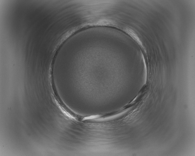 X0000073390389200608111238