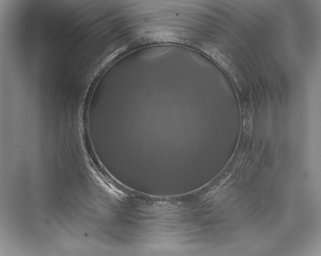X0000073390390200608111238