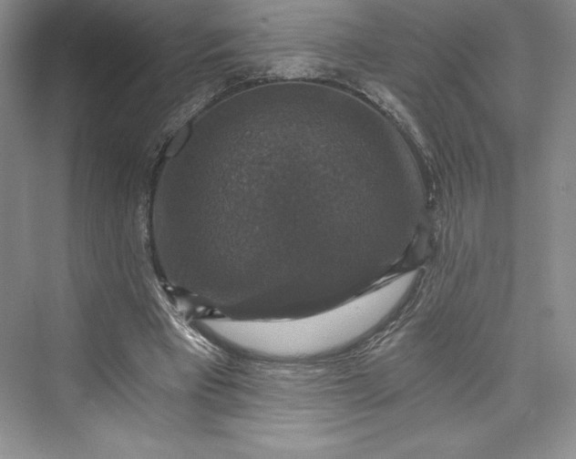 X0000073390393200608111238