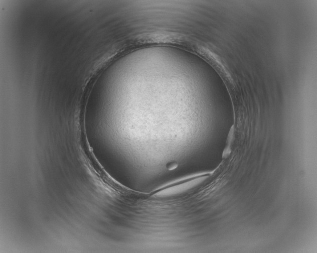 X0000073390394200608111238