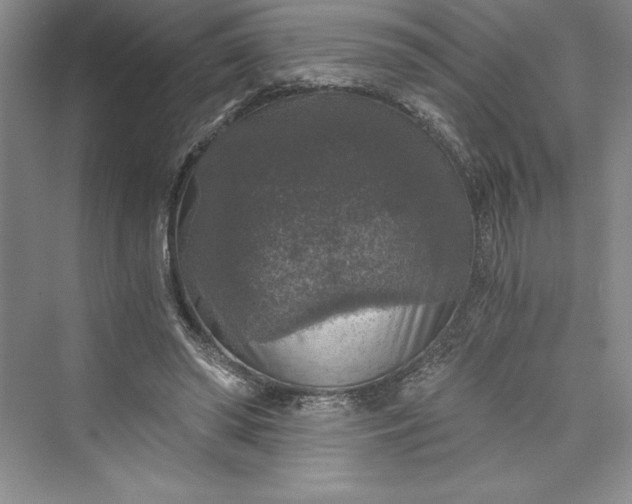 X0000073390398200608111238