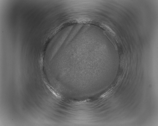 X0000073390405200608111238