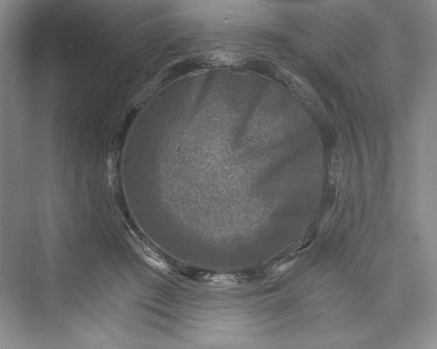 X0000073390409200608111238