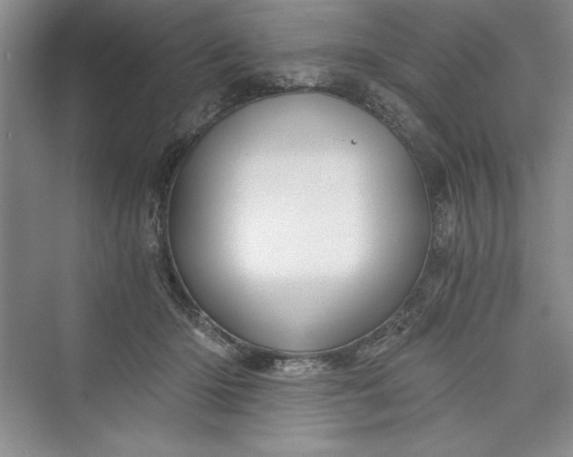 X0000073390414200608111238