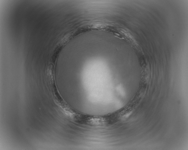 X0000073390415200608111238