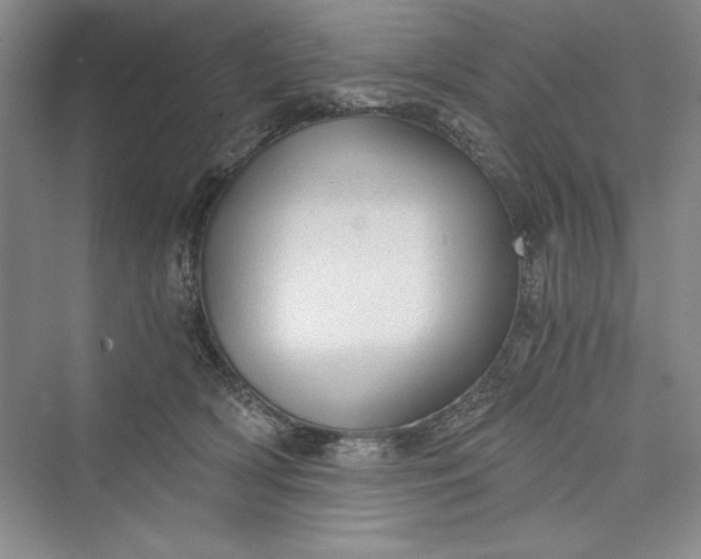 X0000073390418200608111238