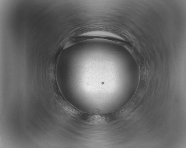 X0000073390421200608111238