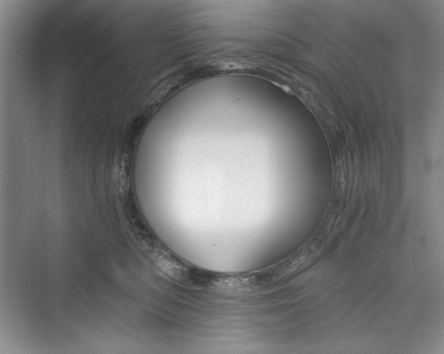 X0000073390422200608111238