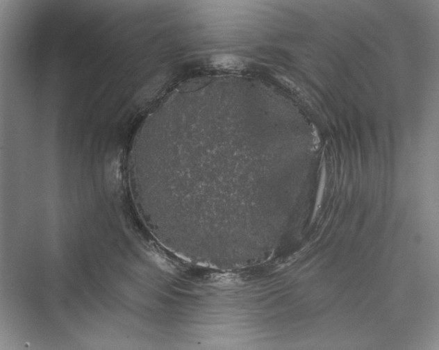 X0000073390424200608111238