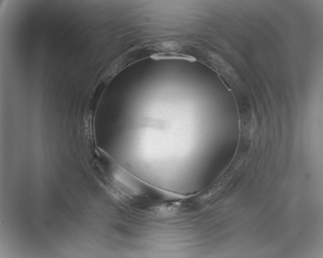X0000073390425200608111238